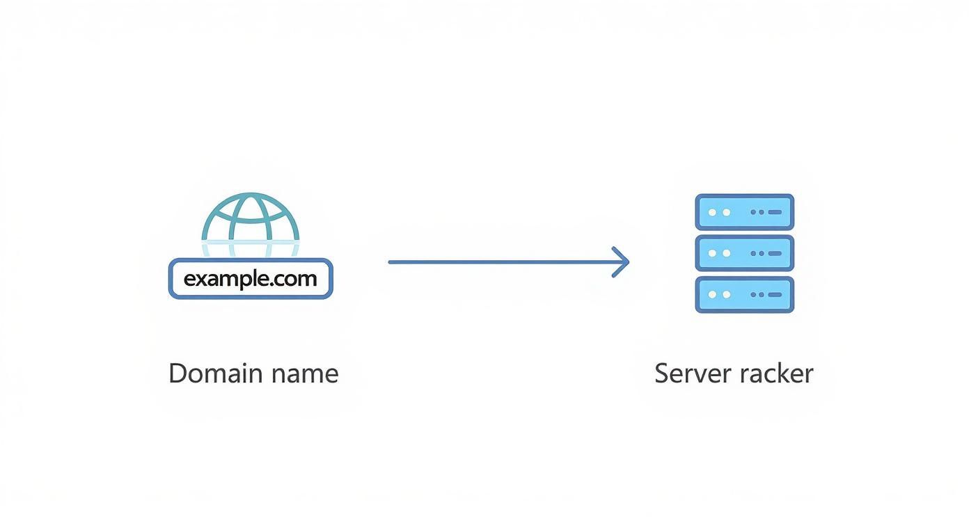 Infographic about how to create a company email