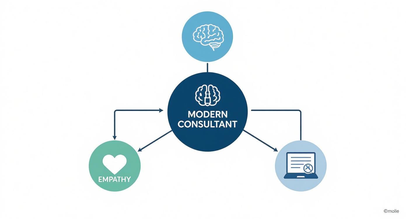 Infographic about sales consultant skills