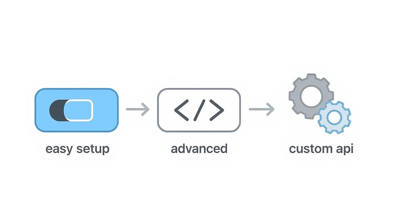 Infographic about automatic twitter replies