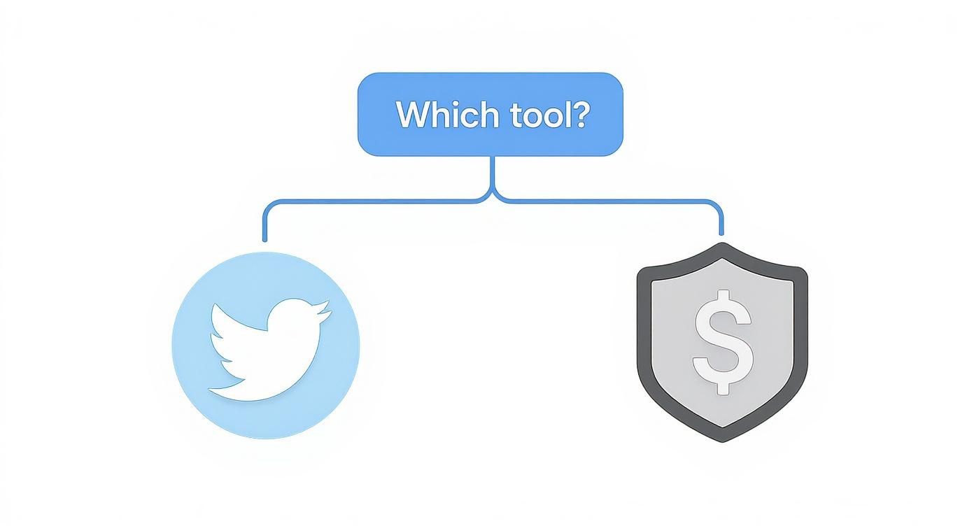 A flowchart asking "Which tool?", offering a Twitter logo or a shield with a dollar sign.