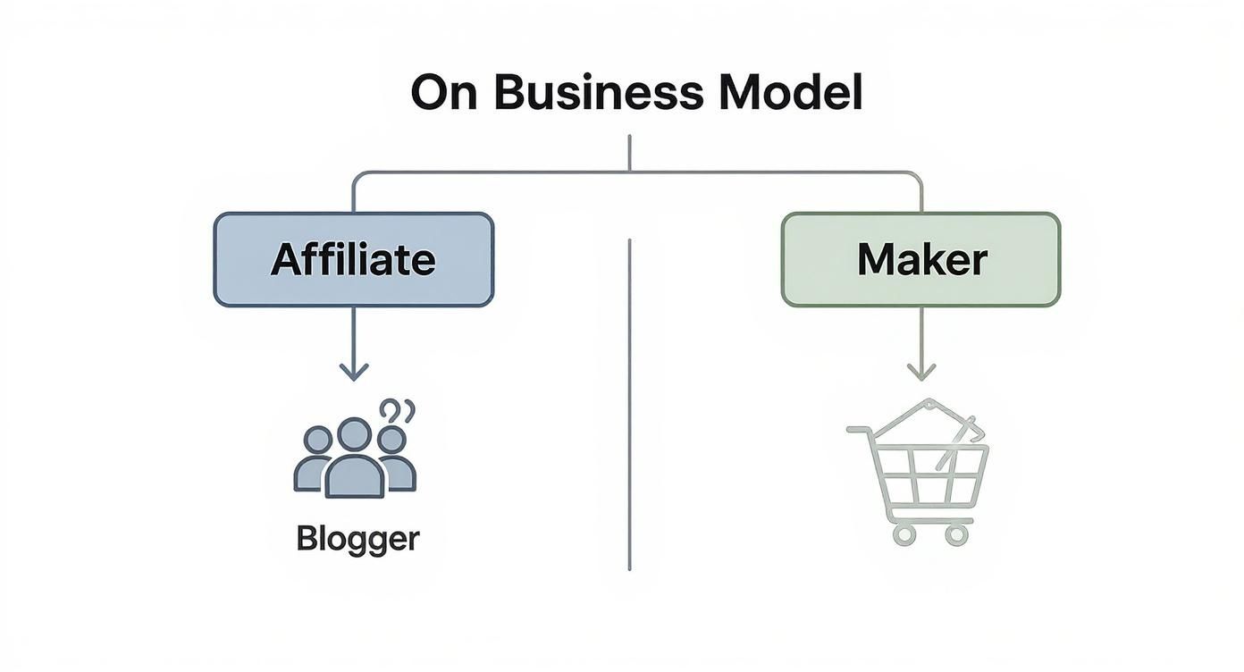 Infographic about affiliate marketing vs ecommerce