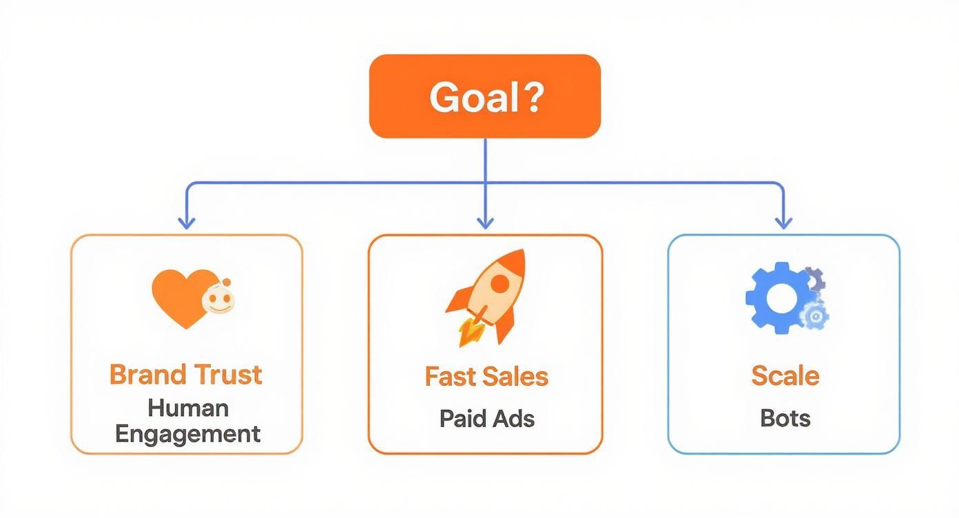 Infographic about reddit marketing service