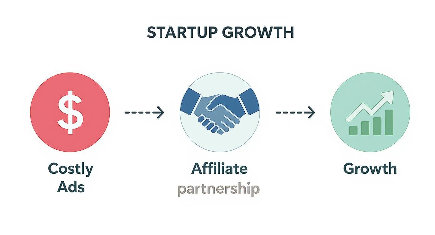 Infographic about affiliate marketing for startups