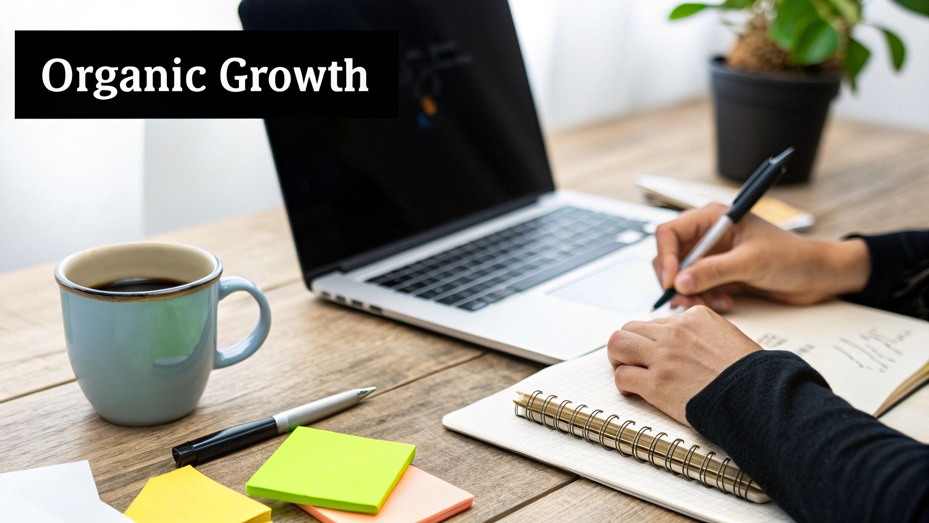 Organic Content Marketing