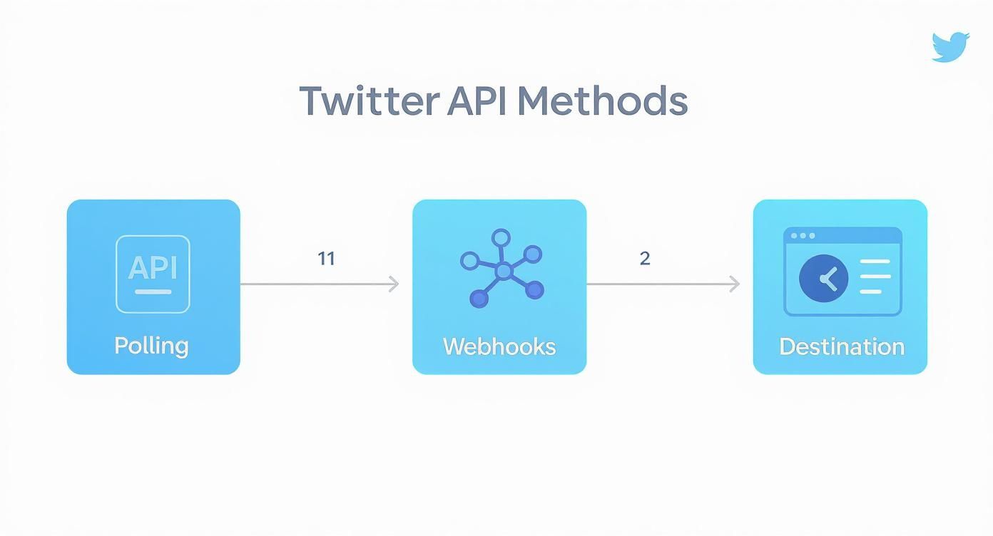 Diagram illustrating Twitter API methods flow: Polling (11) feeds into Webhooks (2), which then connects to a Destination.