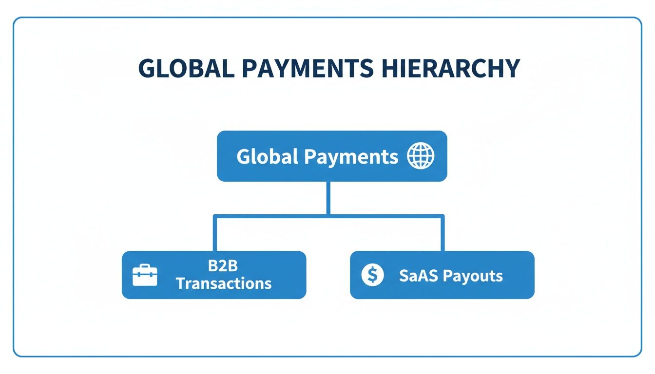 A hierarchy chart showing Global Payments at the top, branching into B2B Transactions and SaaS Payouts.