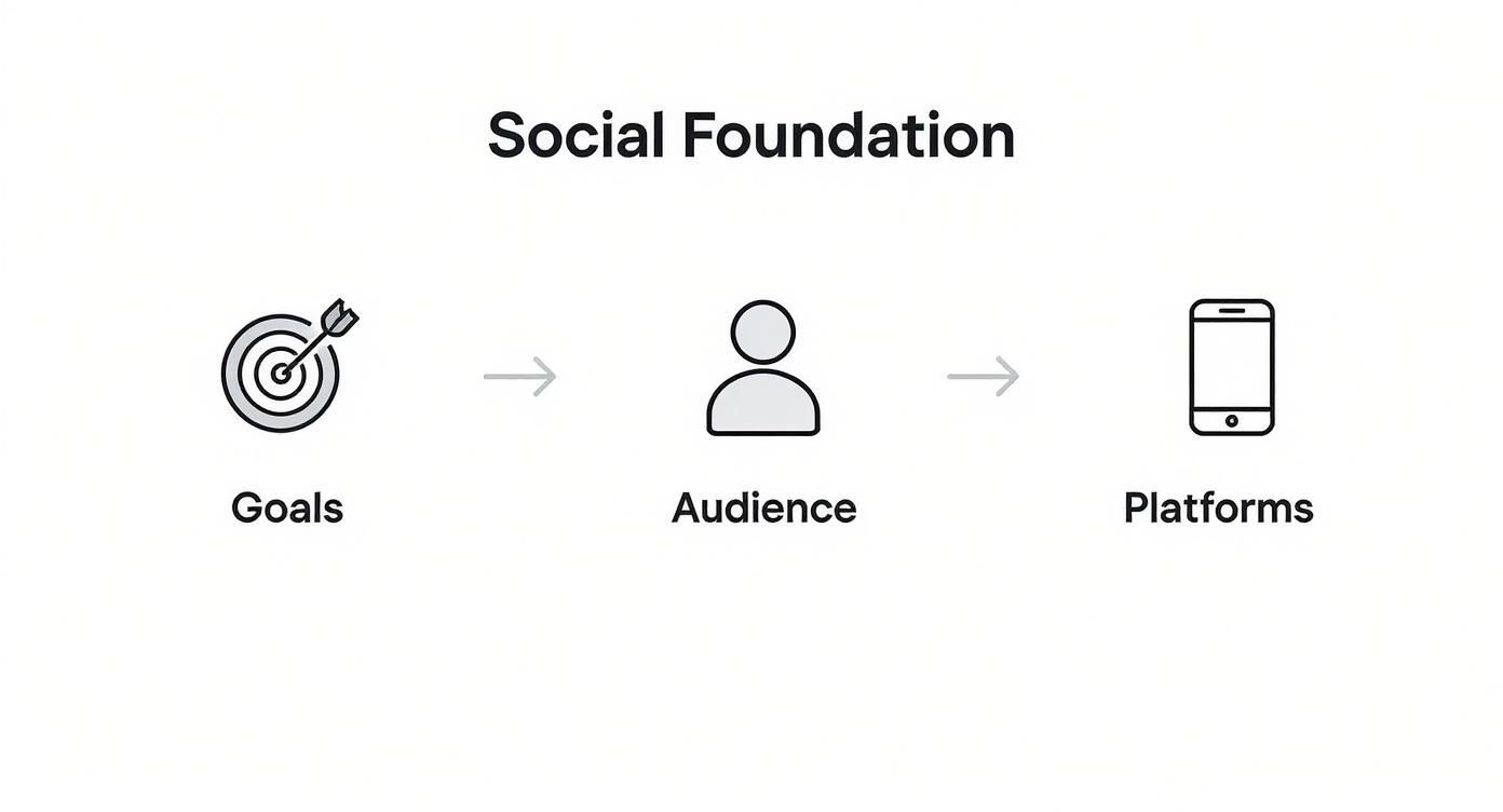 Infographic about social media marketing for startups