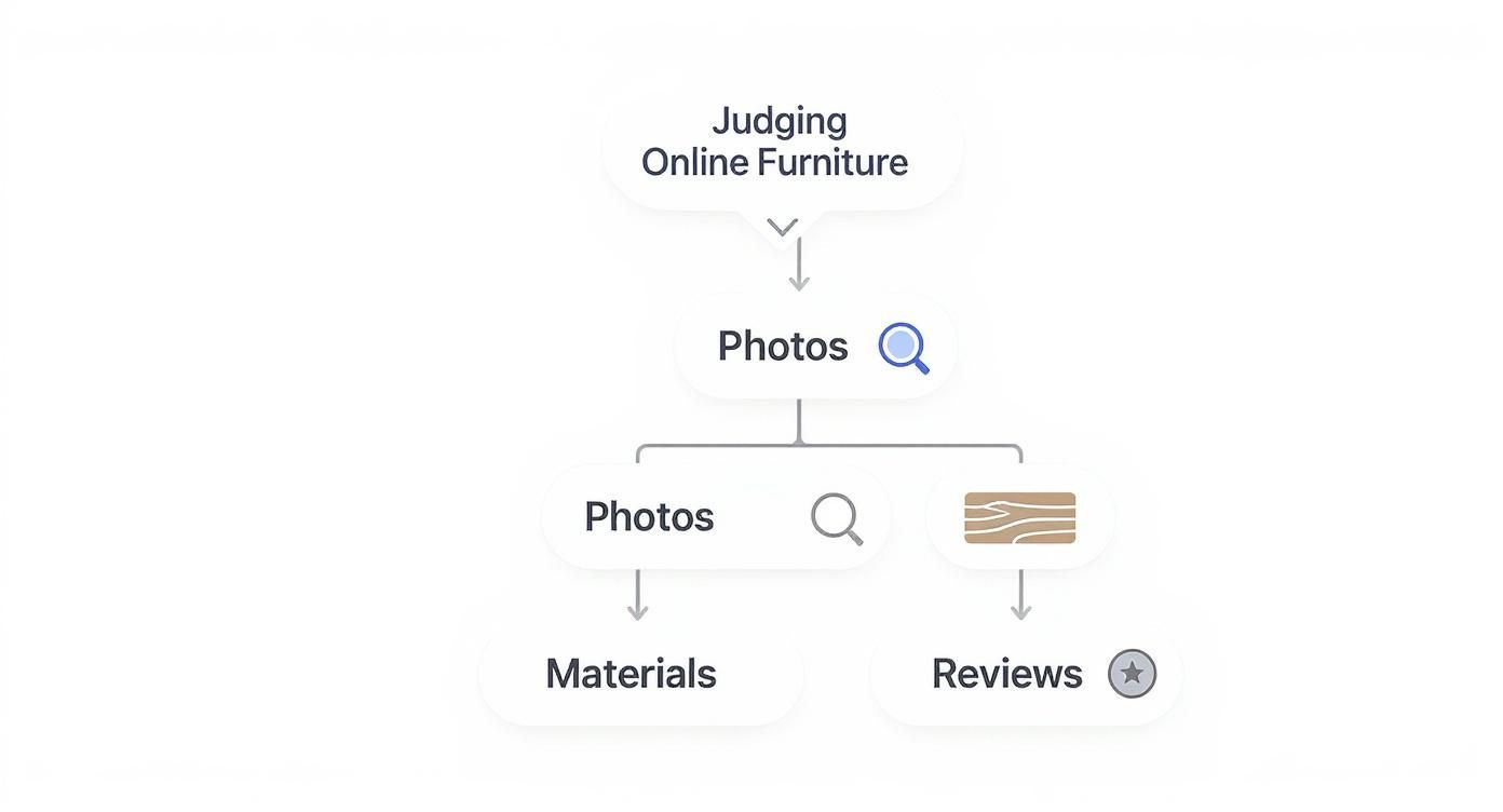Infographic about best online home decor stores
