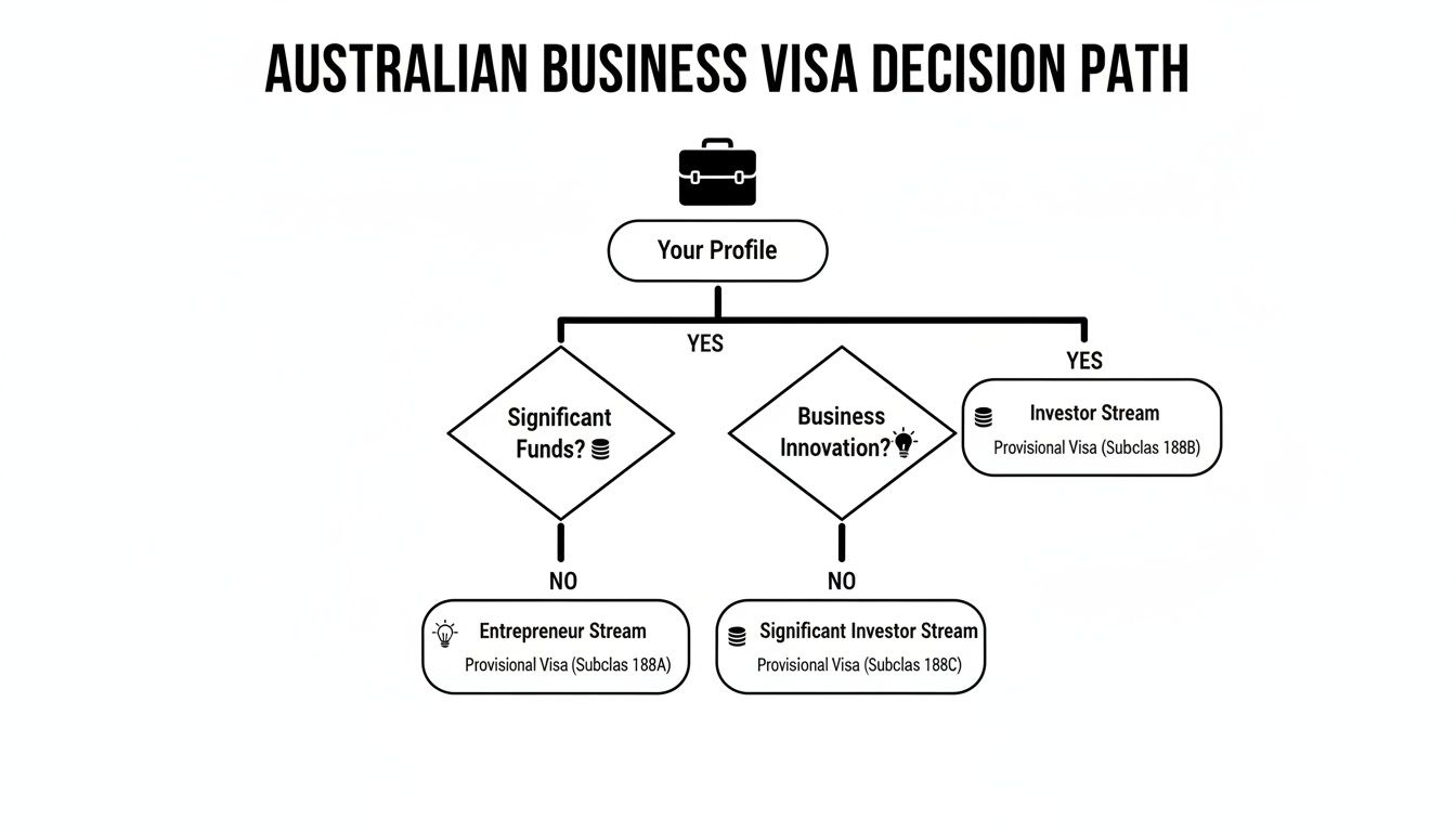 Flowchart illustrating the Australian Business Visa decision path, including Entrepreneur, Investor, and Significant Investor streams.