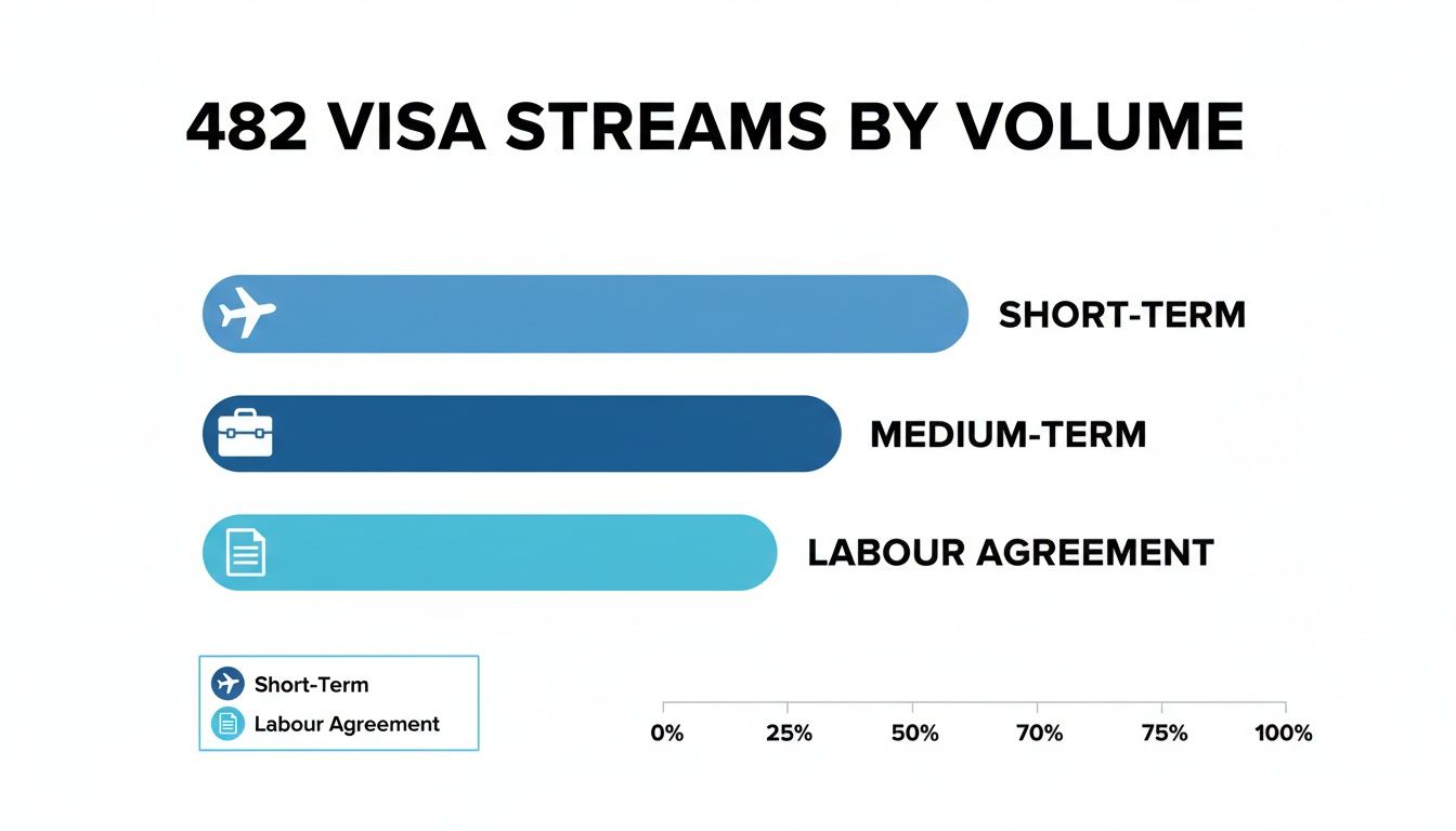 Bar chart illustrating 482 visa streams by volume, showing short-term, medium-term, and labour agreement categories.