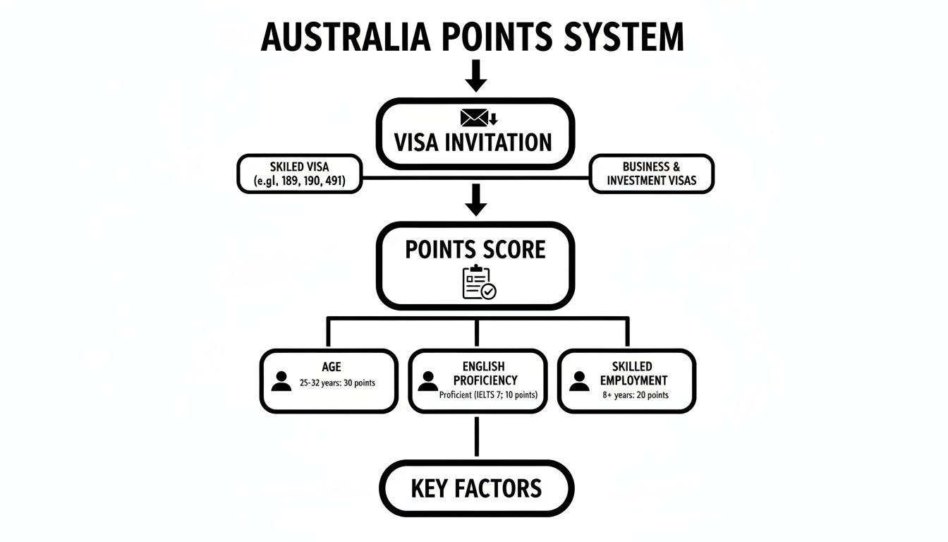 Flowchart outlining the Australia points system for skilled and business visas, detailing age, English, and employment factors.