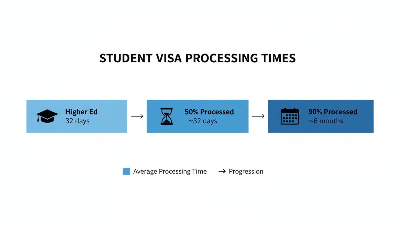 Infographic illustrating student visa processing times for Higher Ed, showing 50% and 90% processed durations.