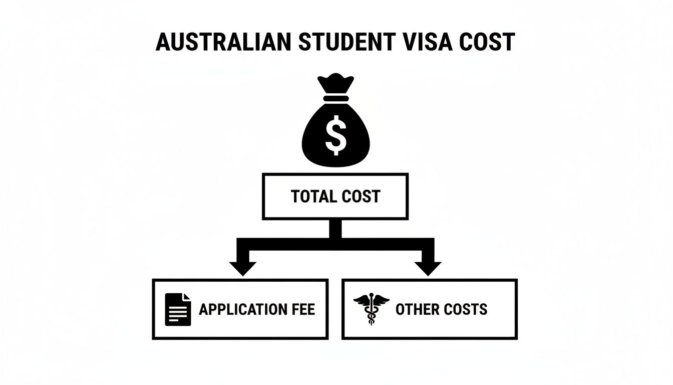 Flowchart illustrating the total cost breakdown for an Australian student visa, including application fees and other costs.
