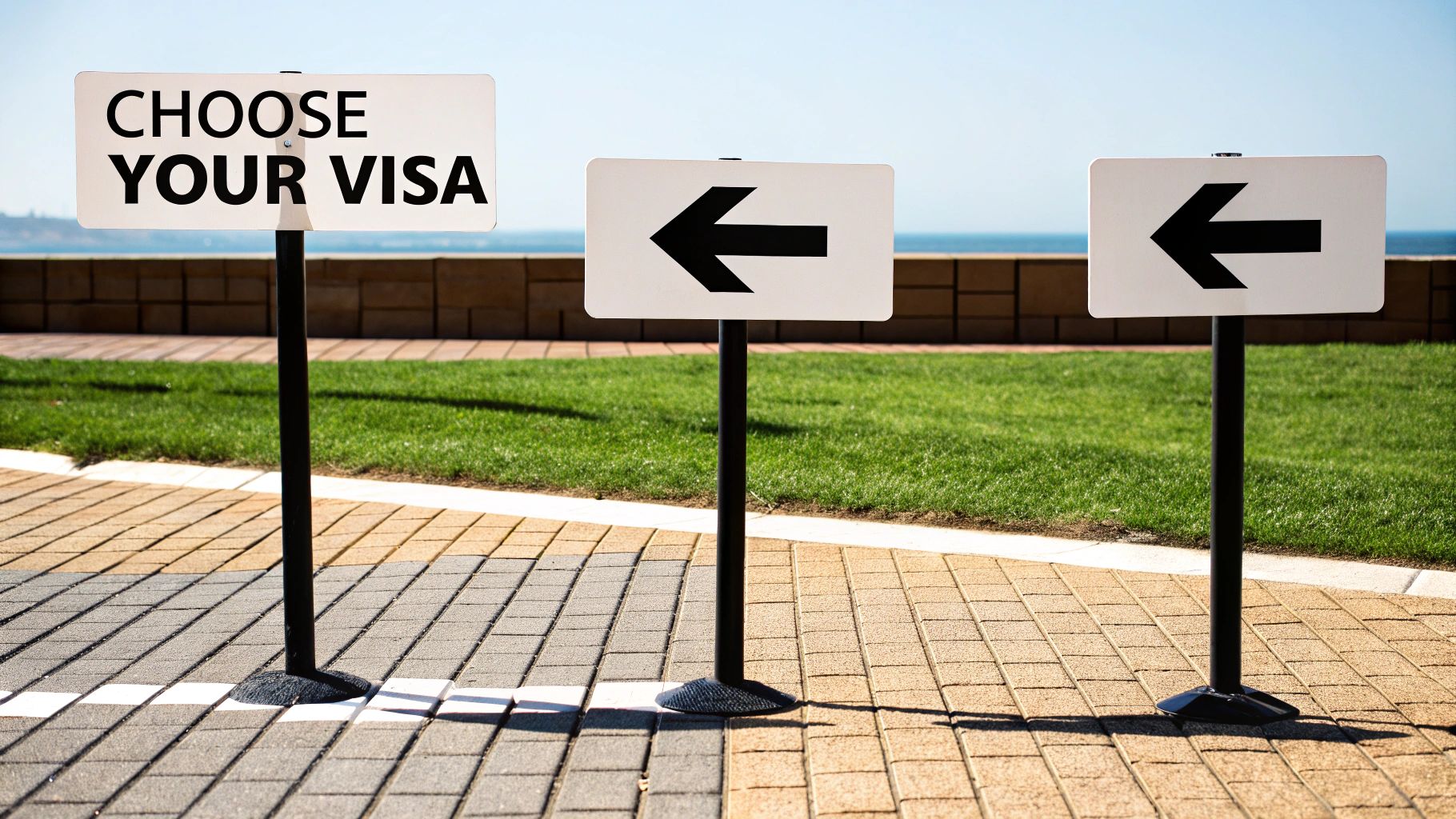 Three white signs on poles, the first reads 'CHOOSE YOUR VISA', next to two arrow signs pointing left.