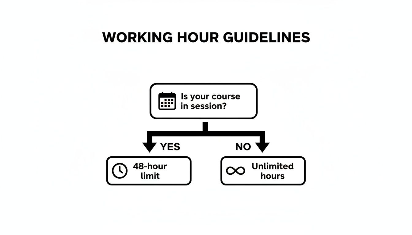 A flowchart outlining working hour guidelines: 48-hour limit if course is in session, unlimited if not.