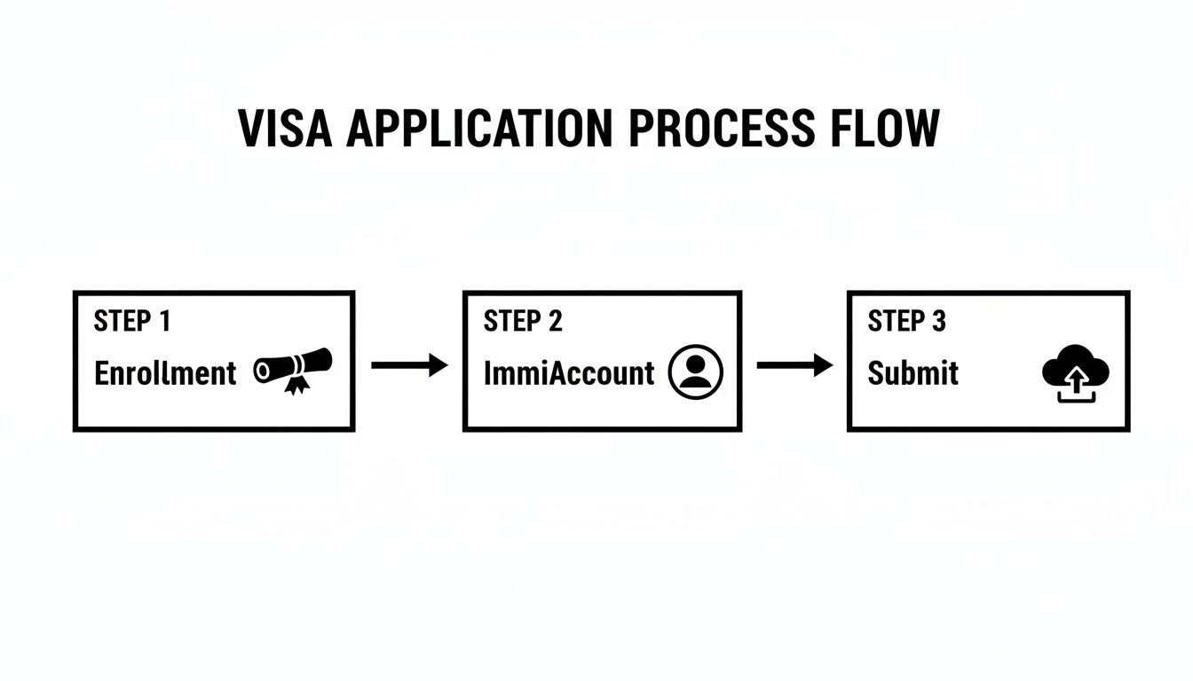 Flowchart illustrating the three-step visa application process: Enrollment, ImmiAccount, and Submission.