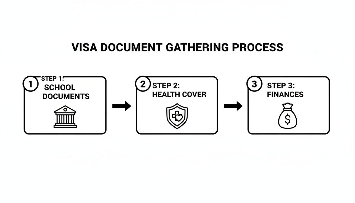 Flowchart detailing the visa document gathering process, including school, health cover, and financial steps.