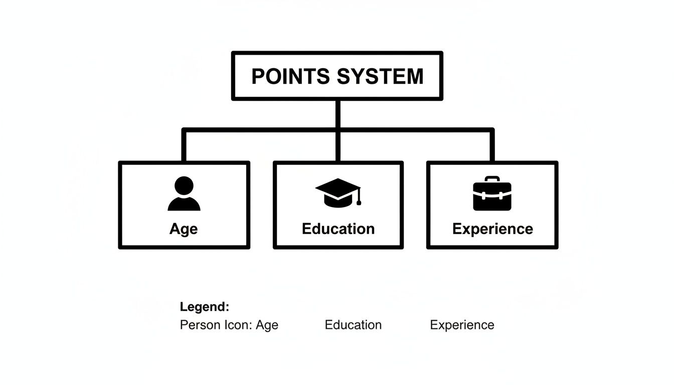 A diagram illustrating a points system based on age, education, and experience with corresponding icons.