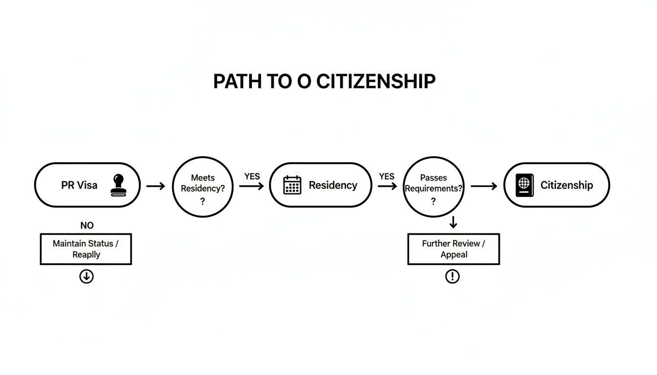 Flowchart illustrating the path to citizenship, from PR Visa through residency and requirements.