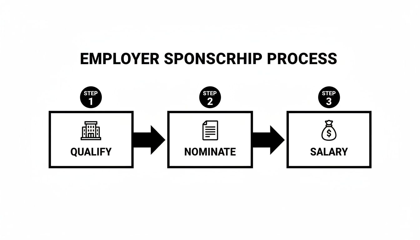 A flowchart outlining the employer sponsorship process with three sequential steps: qualify, nominate, and salary.