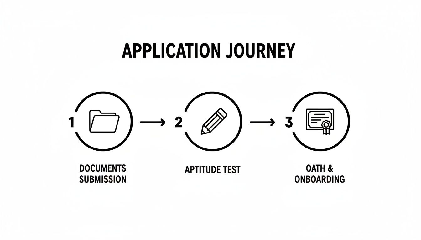 Infographic about australian citizenship by conferral
