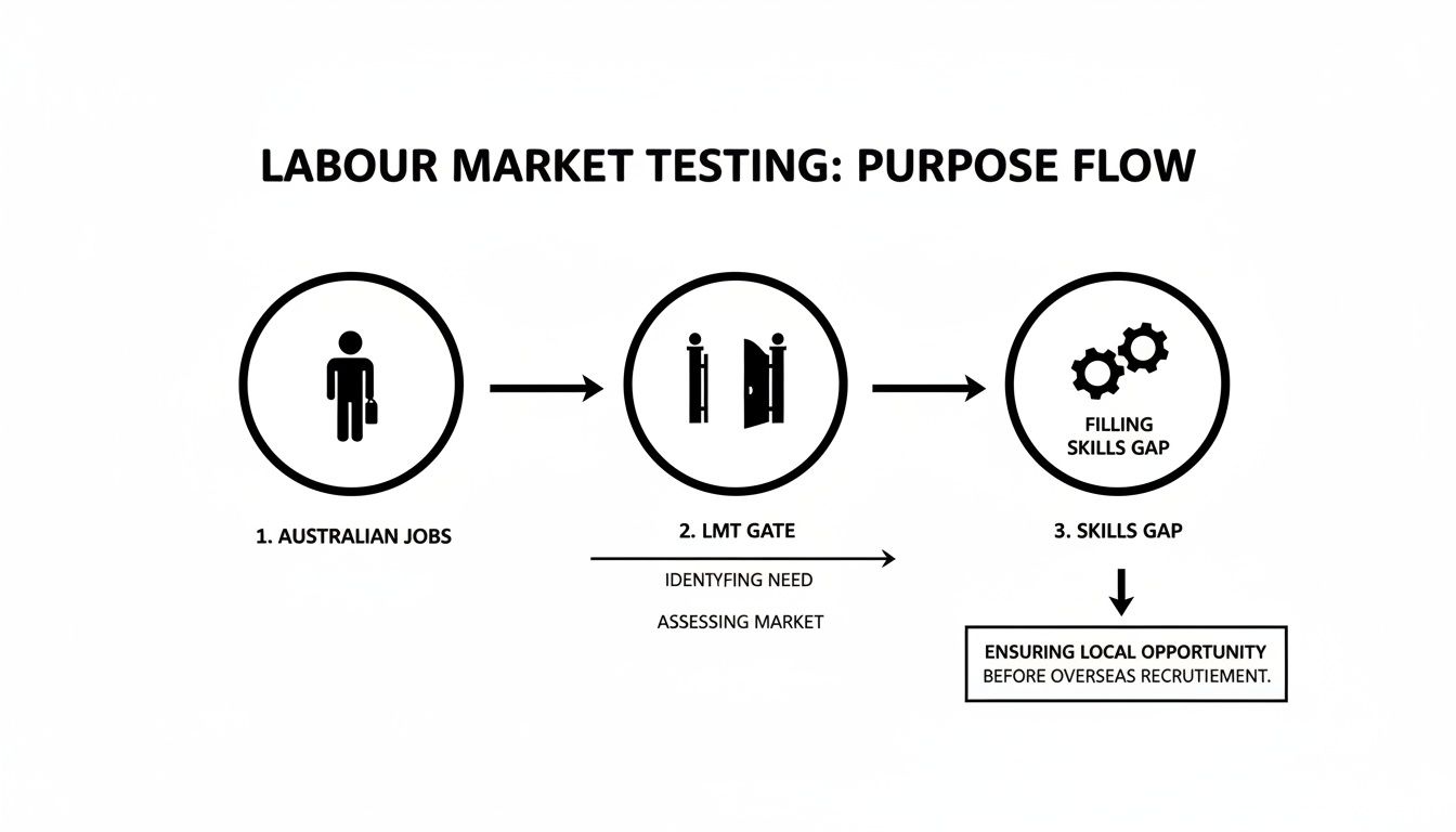 Flowchart illustrating the Labour Market Testing process, showing steps from Australian jobs to filling skills gaps and ensuring local opportunity.