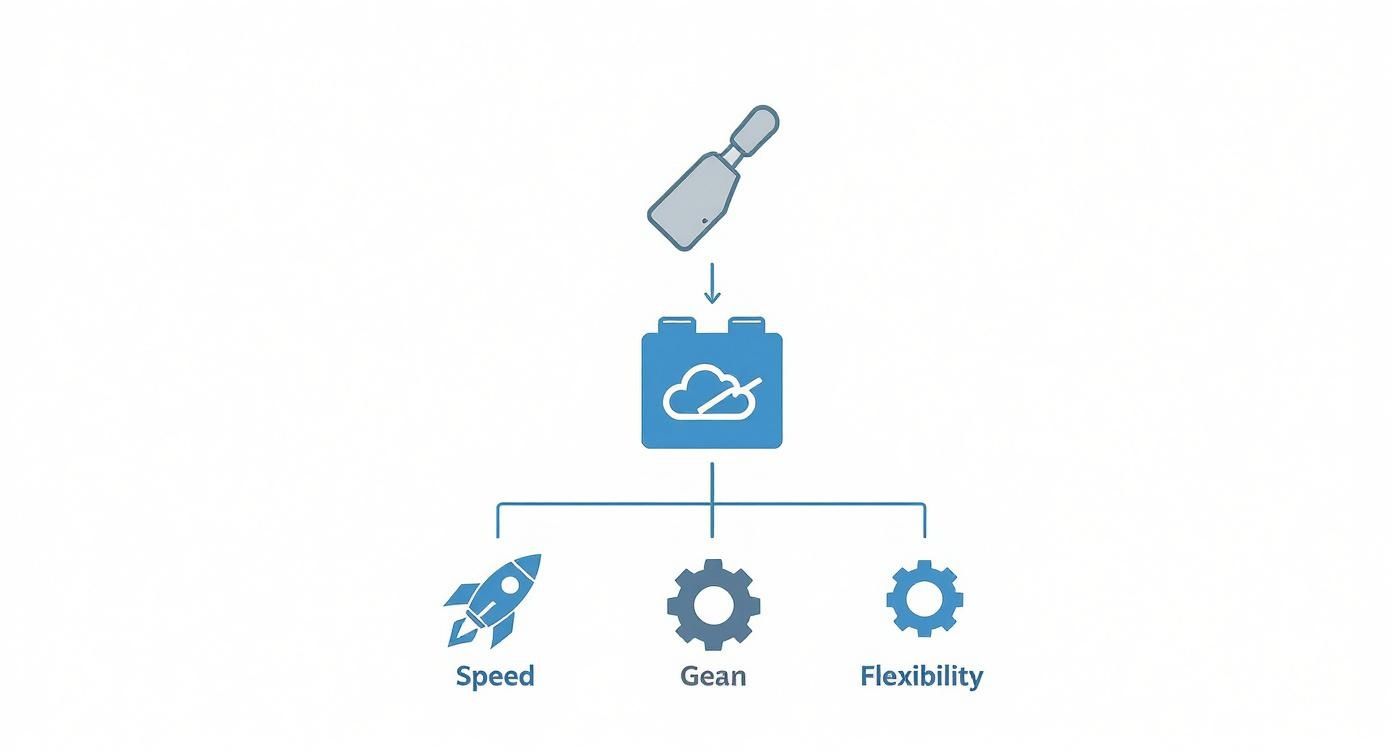 Infographic about developing in the cloud