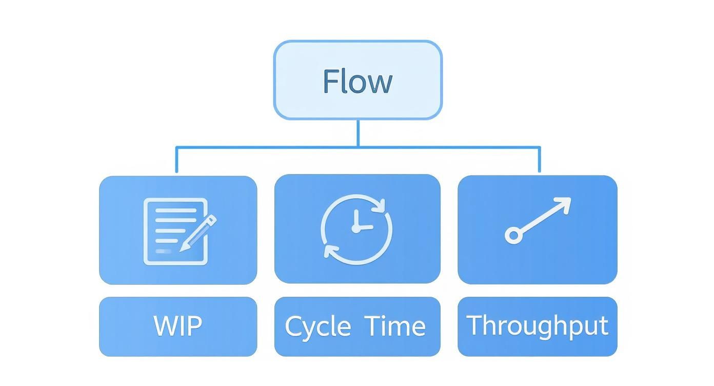 Infographic about agile performance metrics