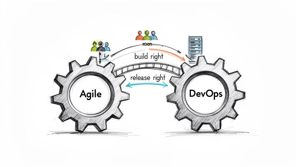 Two gears labeled Agile and DevOps connected by a bridge, illustrating build and release processes.