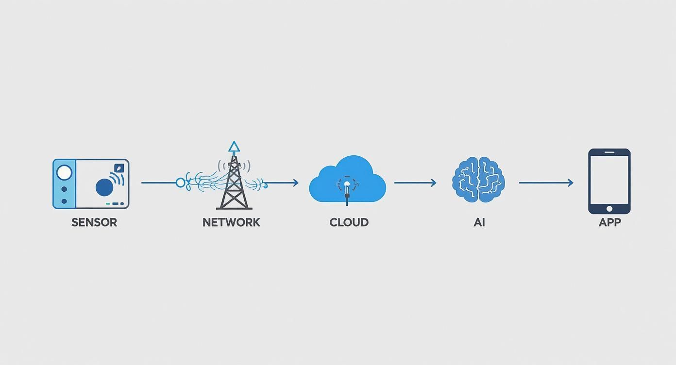 Diagram showing data flow from a sensor through a network, cloud, and AI to a mobile app.