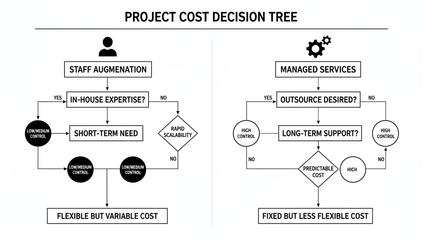 Decision tree diagram comparing staff augmentation and managed services for project cost, control, and flexibility.