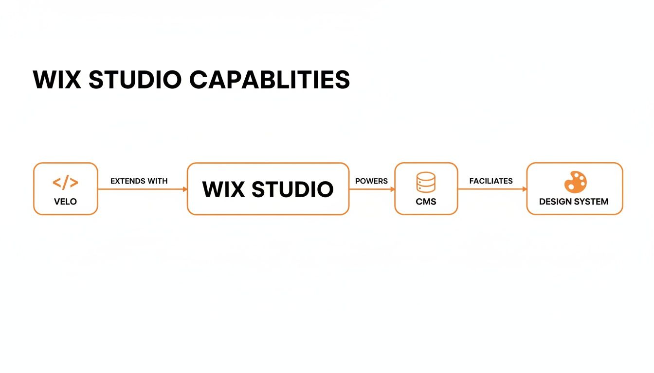 Flowchart illustrating Wix Studio capabilities, showing its integration with Velo, CMS, and Design System.