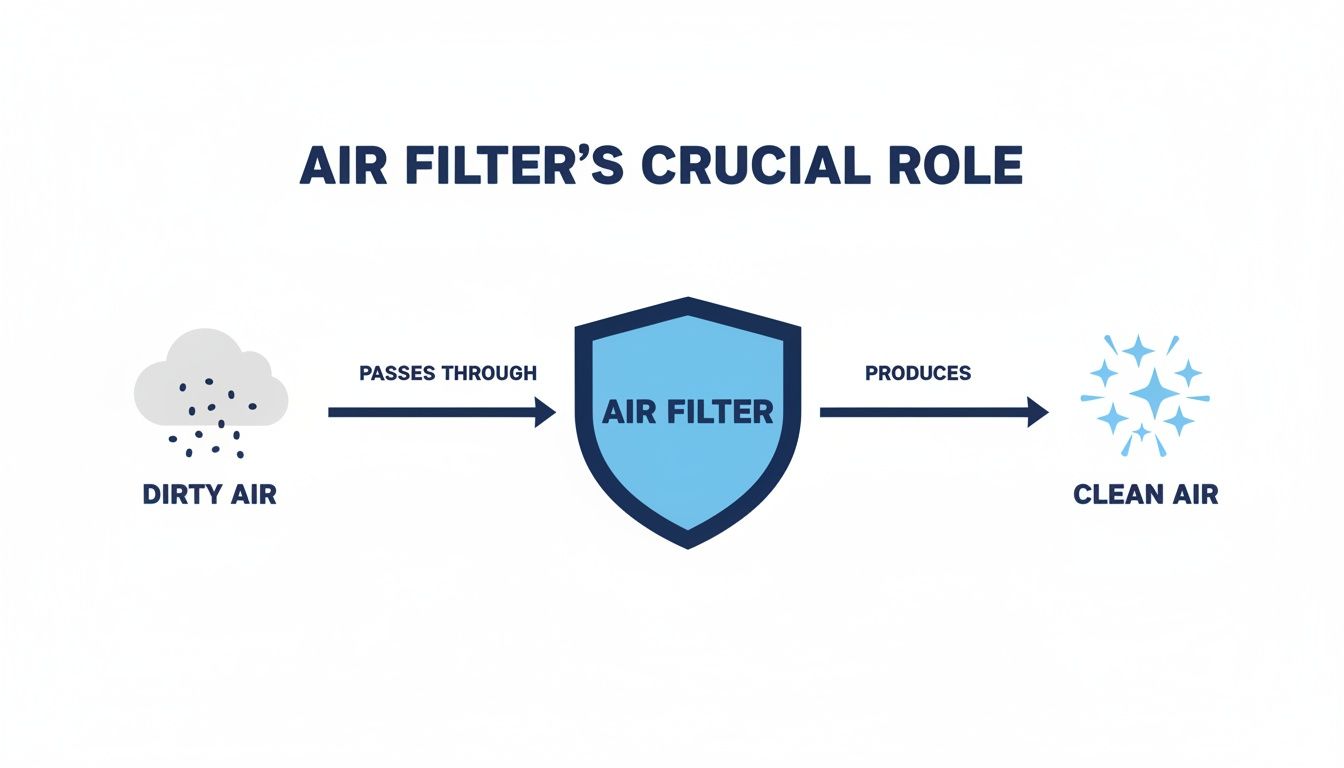 Diagram showing dirty air passing through an air filter to produce clean air, highlighting its crucial role.
