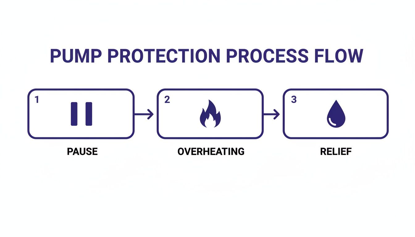 A process flow diagram illustrates pump protection steps: Pause, Overheating, and Relief.