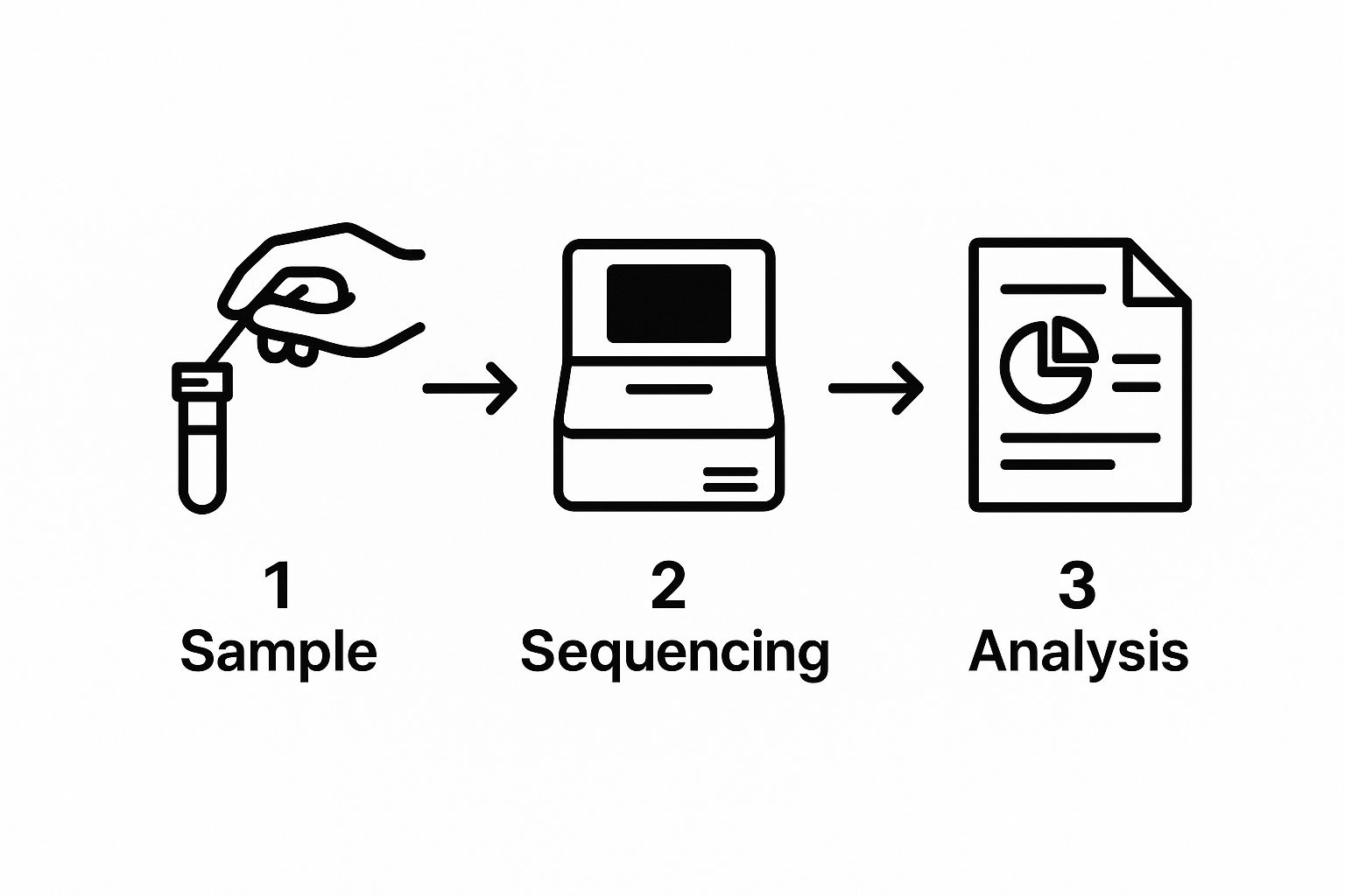 Infographic about microbiome testing nz
