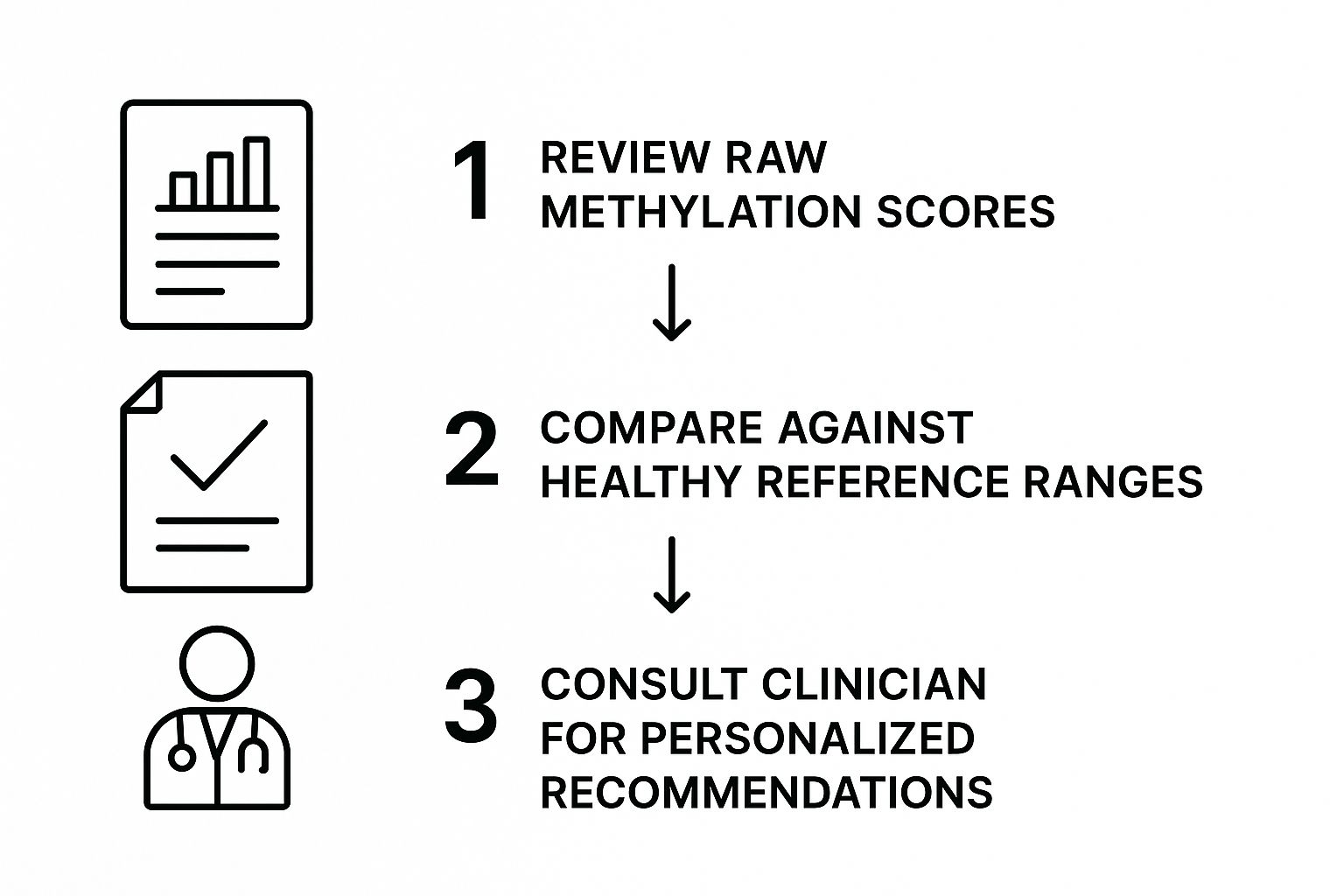 Infographic about genetic methylation testing nz