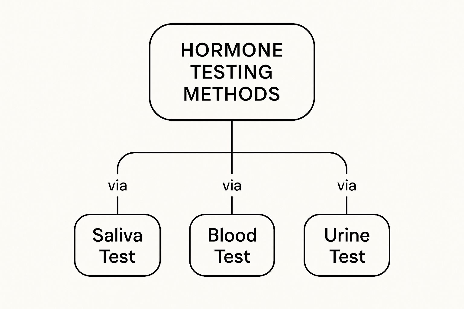 Infographic about hormone testing nz