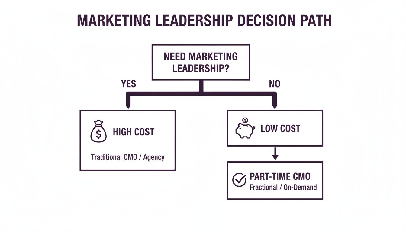 Flowchart illustrating marketing leadership decision path, comparing high-cost traditional options with low-cost part-time CMO.