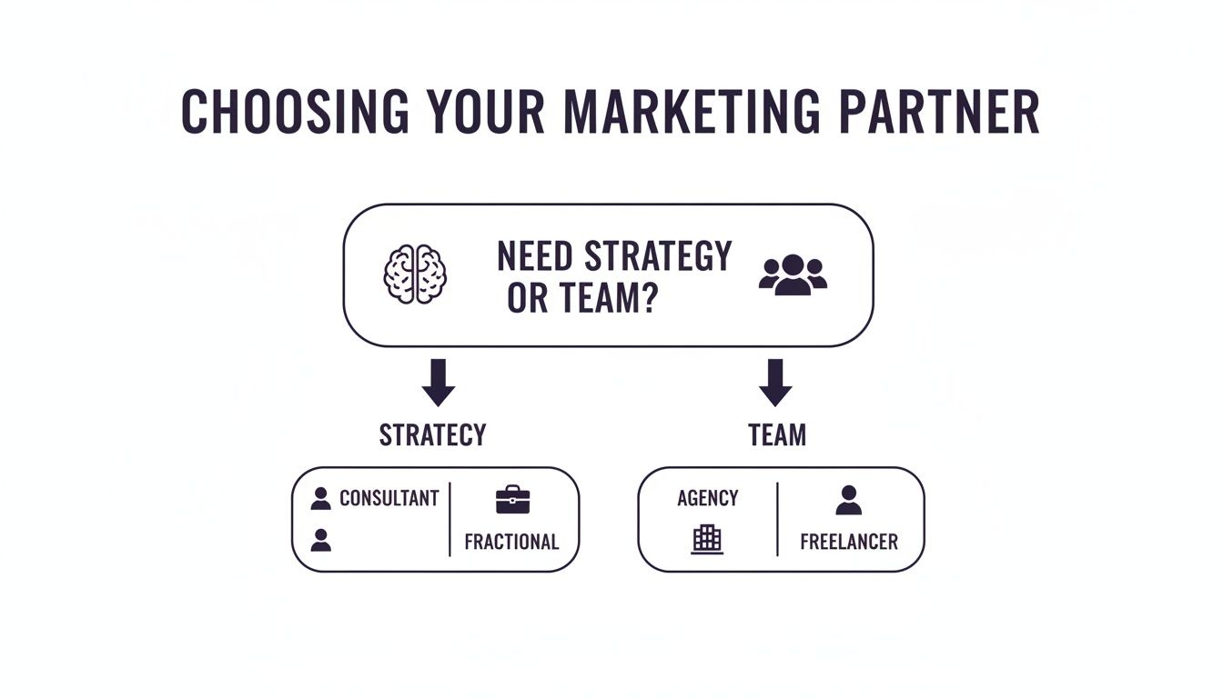 Flowchart guiding the selection of a marketing partner: strategy options include consultant or fractional, while team options are agency or freelancer.