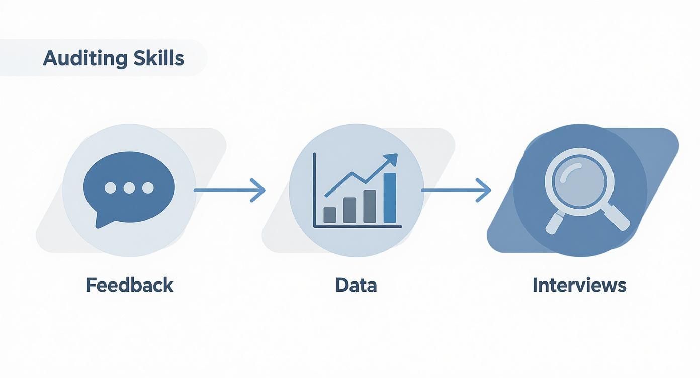 Infographic showing the process flow of auditing skills through feedback, data analysis, and interviews.