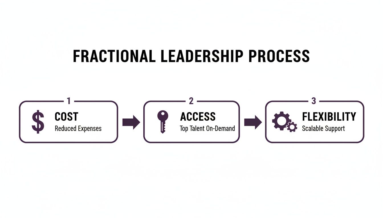 A diagram illustrates the Fractional Leadership Process showing three benefits: Cost, Access, and Flexibility.