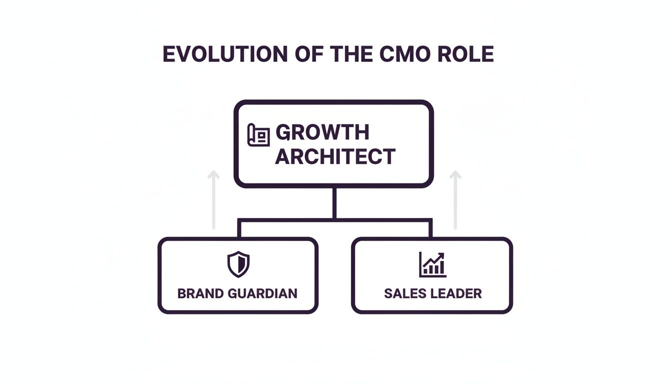 Diagram illustrating the evolution of the CMO role into a growth architect, combining brand and sales.
