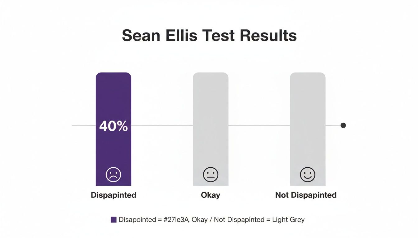 Bar chart displaying Sean Ellis Test Results, showing 40% of users feeling disappointed.