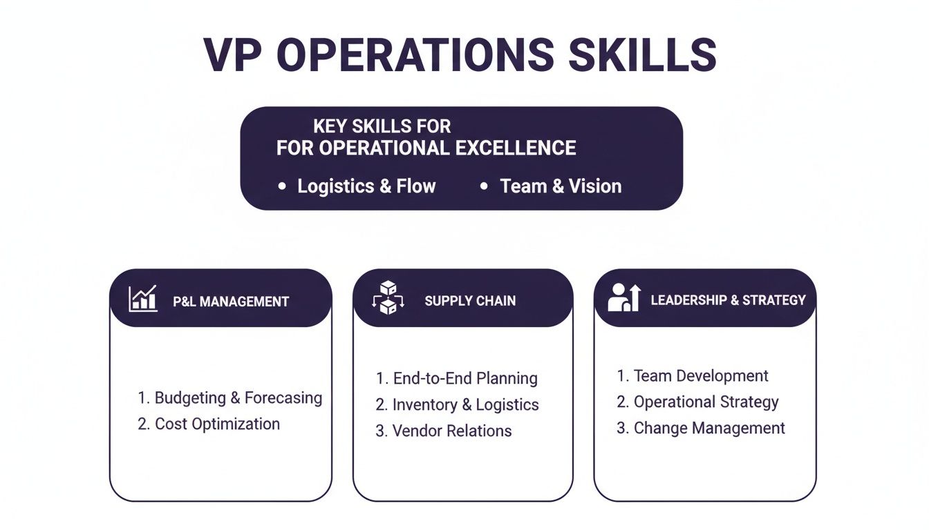 Diagram illustrating VP Operations skills: operational excellence, P&L management, supply chain, leadership and strategy.