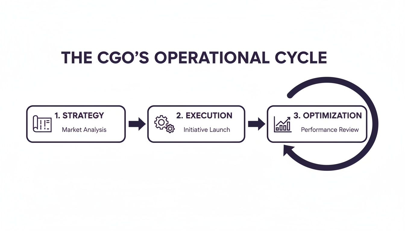 Diagram illustrating The CGO's Operational Cycle: Strategy, Execution, and Optimization phases with cyclical arrows.
