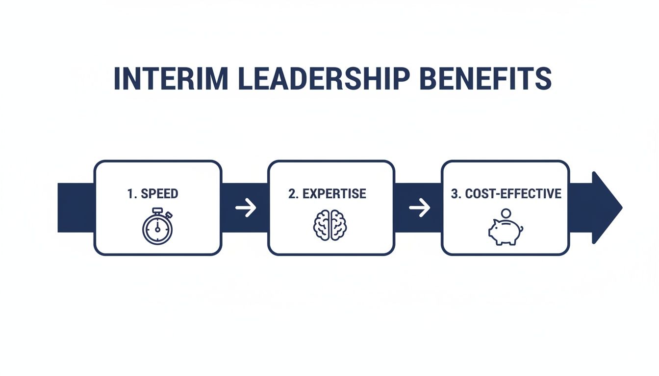 A diagram outlining three key interim leadership benefits: speed with a stopwatch, expertise with a brain, and cost-effective with a piggy bank.