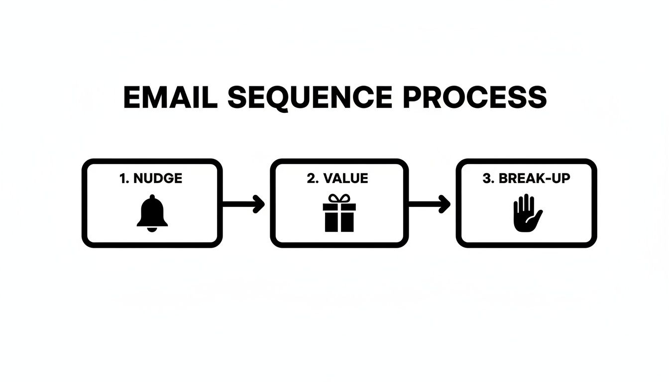 A flowchart titled "Email Sequence Process" detailing three steps: Nudge, Value, and Break-up.