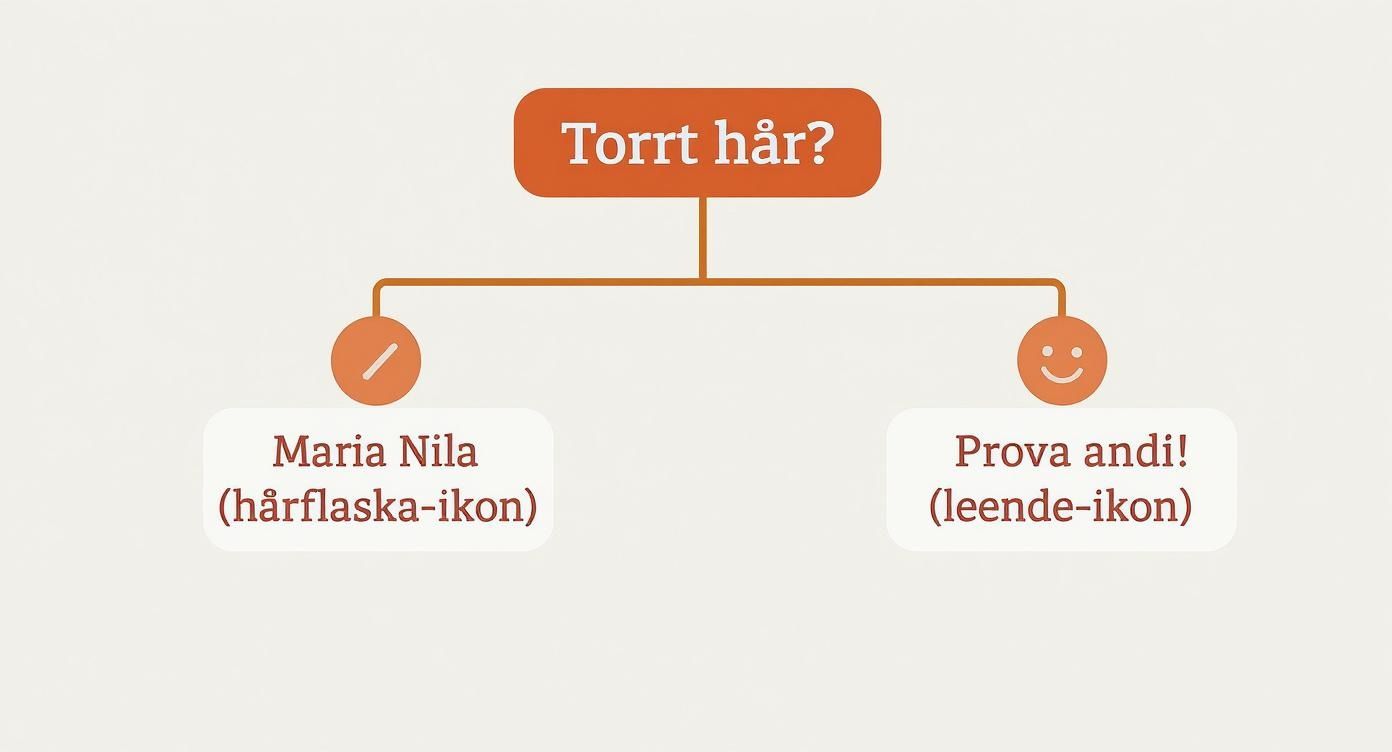 Infographic about maria nila true soft argan oil