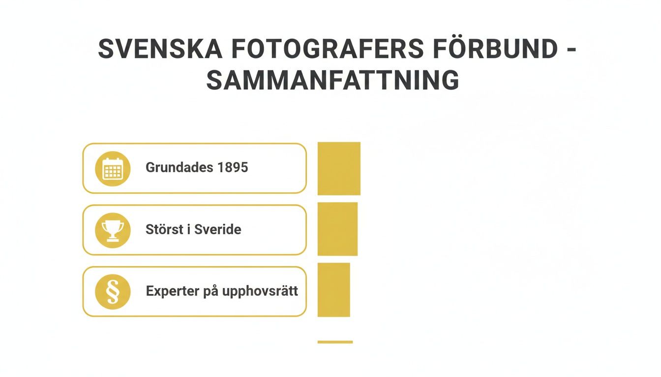 Sammanfattning för Svenska Fotografers Förbund med punkter om grundande 1895, störst i Sverige och upphovsrättsexpertis.