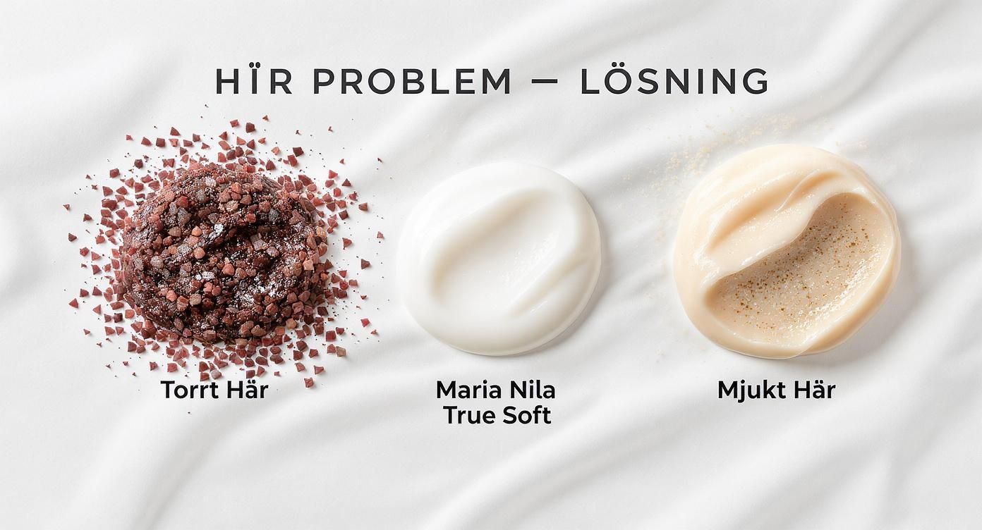 Infographic about maria nila shampoo true soft